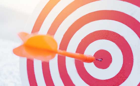 Bulls Eye - Strategy Meets Action
