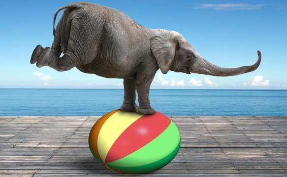 Market Responsiveness